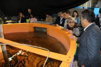 ニホンウナギを養殖している35トン水槽で山本准教授（右端）の説明を聞く一行