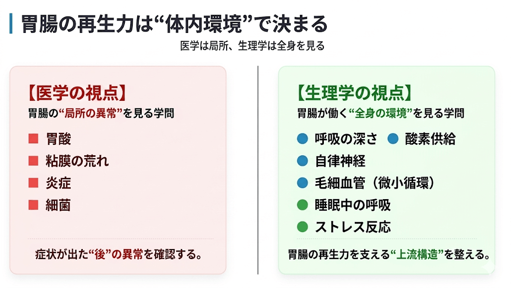 胃・腸の不調──睡眠と呼吸の研究から見えた改善のカギをレポートとして公開