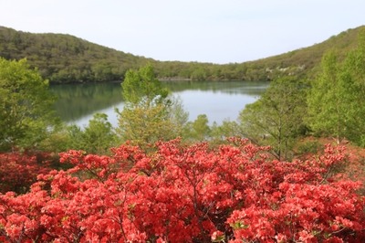 写真提供：前橋観光コンベンション協会