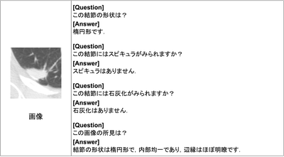 図２：開発した視覚言語モデルによる応答例