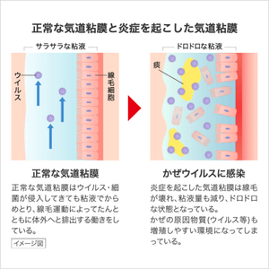 yJUEFu7ATIoldwJzLJZc.png?w=940&h=940