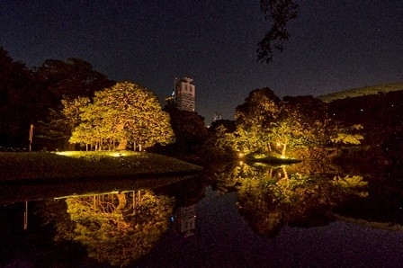 園内ライトアップ(イメージ)