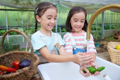 yKdqU8tSGvVIQ6EqzK4i.jpg?w=940&h=940