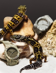 yKeSZ3QP42nettxU4WEK.jpg?w=940&h=940