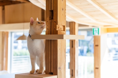 yKn2uSzc9ARjrdlnZPf0.jpg?w=940&h=940