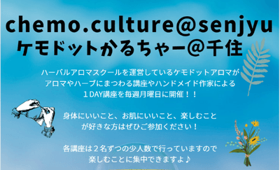 yLjlOUDfbC3VIwInwVeF.png?w=940&h=940