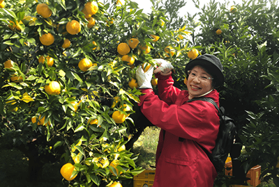 yMWtq7Sb04281OosGjZ4.png?w=940&h=940