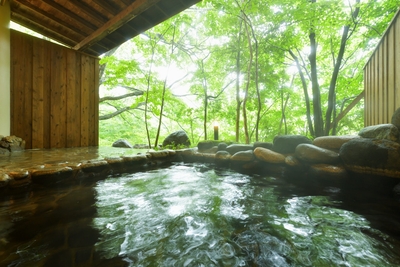 yMcUL6C0PlgwdQljbhNa.jpg?w=940&h=940