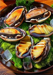 [ソムチョンボク営魚組合法人] Foodstyle 2025 東京展示会で大好評  / 日本市場への本格始動