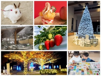 【冬こそ訪れたい！千本松牧場で味わう癒しと絶景！】牧場イルミネーション、冬スイーツ、温泉やいちご狩りなど充実の冬体験