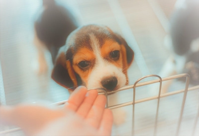 yN0Srkv3AV9283Pmp619.jpeg?w=940&h=940