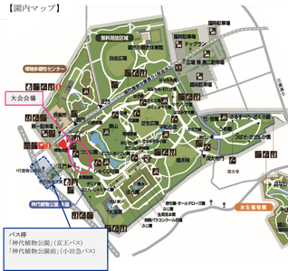 yOTSH87qqDguI6V2L5sz.png?w=940&h=940