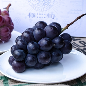 yP04L4DerBqZtiXoMrRl.jpg?w=940&h=940