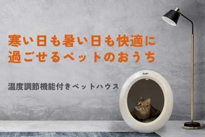 yR115Qn6NJvZo8Q23N9l.png?w=940&h=940