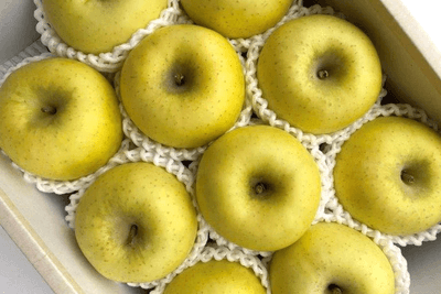 yRFkicpQ5wWrF2sp7aCE.png?w=940&h=940