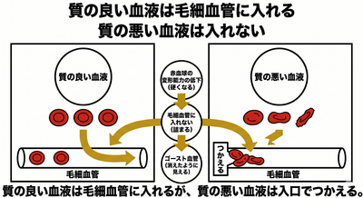 yRdZerjgDLTc9LevpnBd.png?w=940&h=940