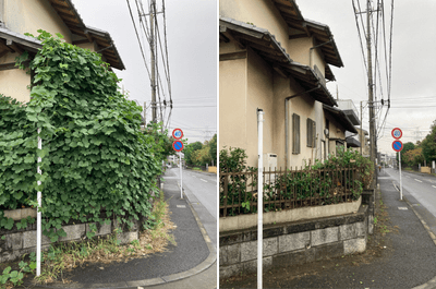 yS9XEA8LWXbStTBXVzs2.PNG?w=940&h=940