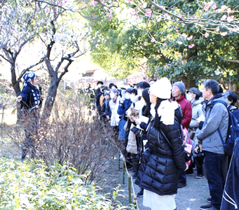 庭さんぽ（昨年度の様子）