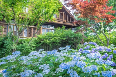 yTWwajJ3uTV4WjX9o5vR.jpeg?w=940&h=940