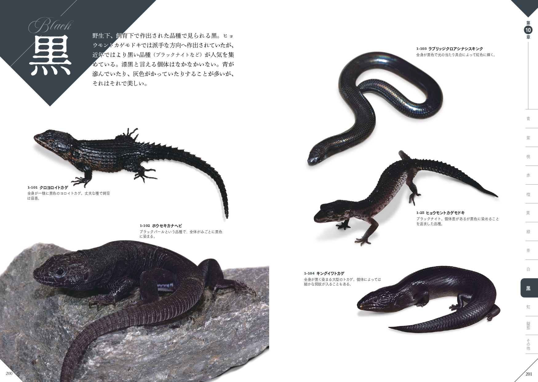 黒 『色彩別 爬虫類・両生類図鑑』