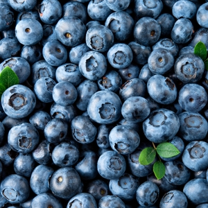 yU21ruiH77FtKEkr0kTQ.jpeg?w=940&h=940