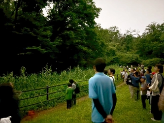 「和泉川 三ツ境・二ツ橋水辺公園で生き物観察」を開催【相鉄グループ】