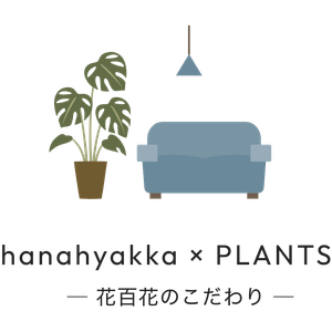 yWgUUA3ftf3YCEP3N1b9.png?w=940&h=940