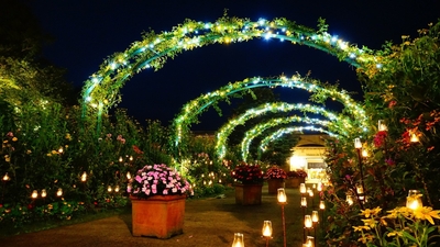 ～光の庭園～　イメージ写真