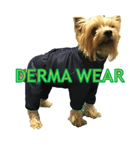 DERMA WEAR（ダーマウェア）
