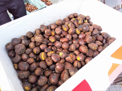 yZXGUr41koMAgvnUW6j5.jpg?w=940&h=940