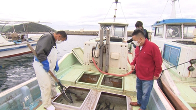 yagxm7dwXQQB3vAyoIFc.jpg?w=940&h=940