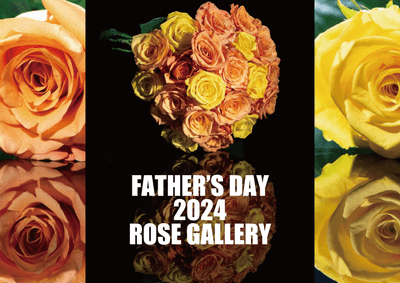 ycuTdBMPLasSAQU92Ro6.png?w=940&h=940