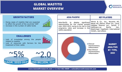 ydEaSxnnuqpCmMKIbnbS.jpg?w=940&h=940