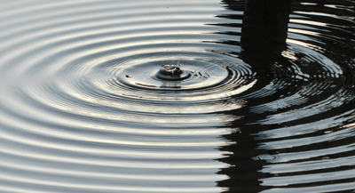 ydNa89WEAWlQ6HV2clSu.png?w=940&h=940