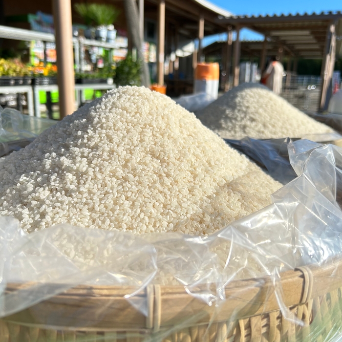 新米盛り放題(9/21~計4回)