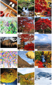 yffWg7vszntR90US06oO.png?w=940&h=940