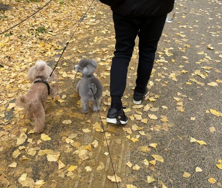 多数投稿感謝★ペットとの絆を語ろう。1投稿500円が寄付になり保護犬猫が救われます