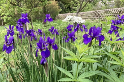 yh1hq8PM1PQJggmu2WLJ.jpg?w=940&h=940