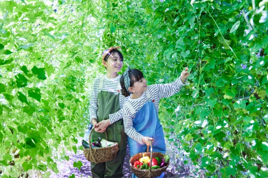【リゾナーレ那須】野菜の収穫から納品まで、農家の仕事を体験する1泊2日「Farmer’s Academy~夏休みの自由研究~」今年も開催 |期間:2023 年7月24日〜8月31日