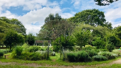 yhtvAX4KL5jYLJ4TbBw5.jpg?w=940&h=940