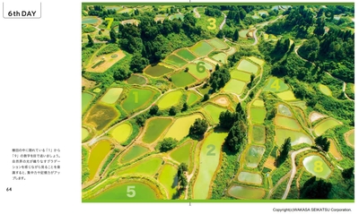 yiWALJXIzWTMYrZDQItF.jpg?w=940&h=940