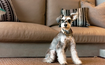 ykQ81qYGNBY4NH7g6aJG.jpg?w=940&h=940