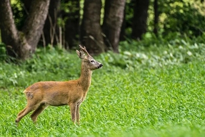 ykzUbTPR5HwKe8DdxfKa.jpg?w=940&h=940