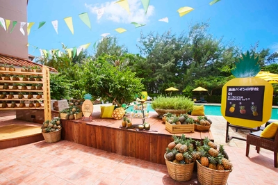 ymThM9ZEKr0FXLiBgvCp.jpg?w=940&h=940