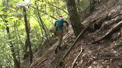 ymcFXkhwz4q2b4A8QRCJ.jpg?w=940&h=940