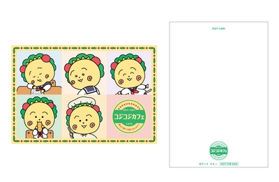 ymxe4nIfmc6MYlVnTJh8.jpg?w=940&h=940