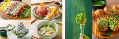 【リリース第2弾】 「道の駅そらっと牧之原」7/18(金)12時グランドオープン　 牧之原の茶畑そばに、茶白湯ラーメン、茶ル茶ルチキン！？ お茶グルメや土産品が勢揃い！ ソフトクリーム、クレープの抹茶スイーツ、 抹茶あんぱんや生ドーナツのベーカリーも登場！！