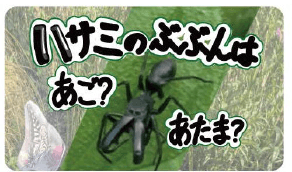 ynPyXPKImMI9ST1bNQDF.png?w=940&h=940