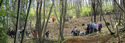 ynTGTlvNgwFvxJirSD5I.jpg?w=940&h=940