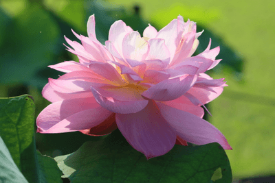 yo1ijoew4Yk6MC56zgWF.gif?w=940&h=940